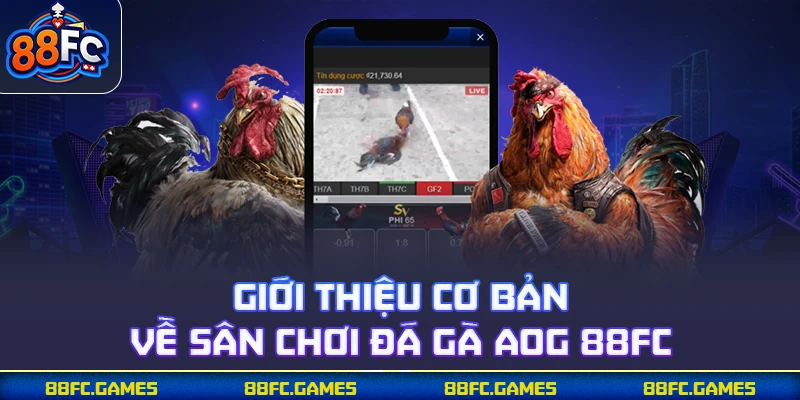 Giới thiệu cơ bản về sân chơi đá gà AOG 88FC